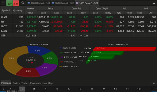 Portfolio View